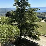 οξυγόνο πέτρινο εξοχικό στη πηλίου ויזיצה